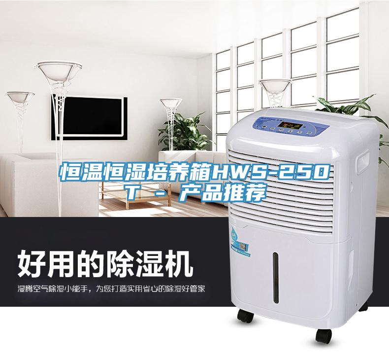 恒溫恒濕培養箱HWS-250T - 產品推薦