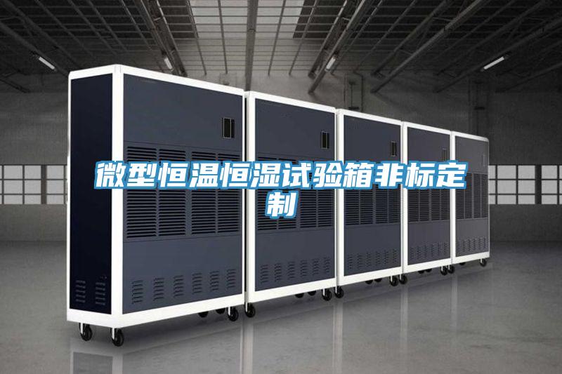 微型恒溫恒濕試驗(yàn)箱非標(biāo)定制