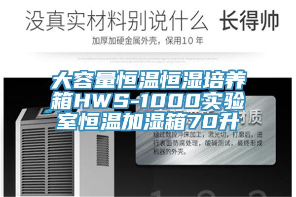 大容量恒溫恒濕培養箱HWS-1000實驗室恒溫加濕箱70升