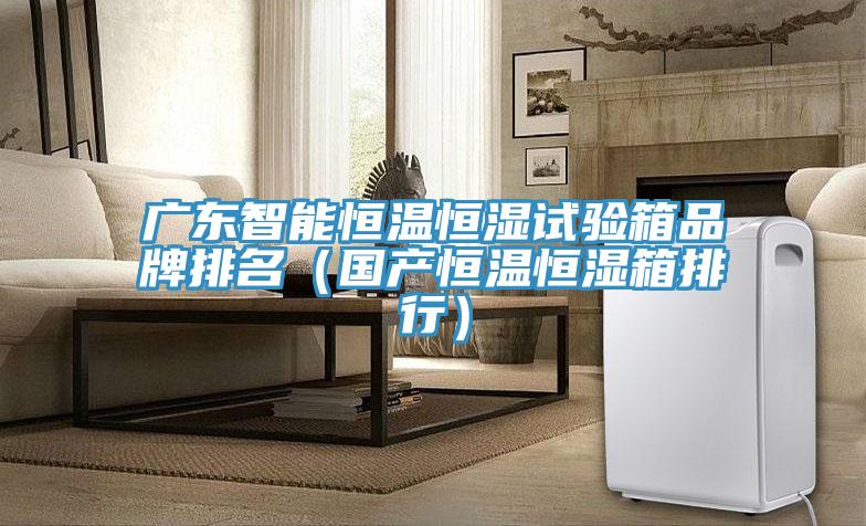 廣東智能恒溫恒濕試驗箱品牌排名(國產(chǎn)恒溫恒濕箱排行)