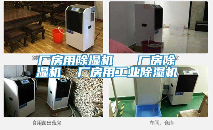 廠房用除濕機   廠房除濕機  廠房用工業除濕機