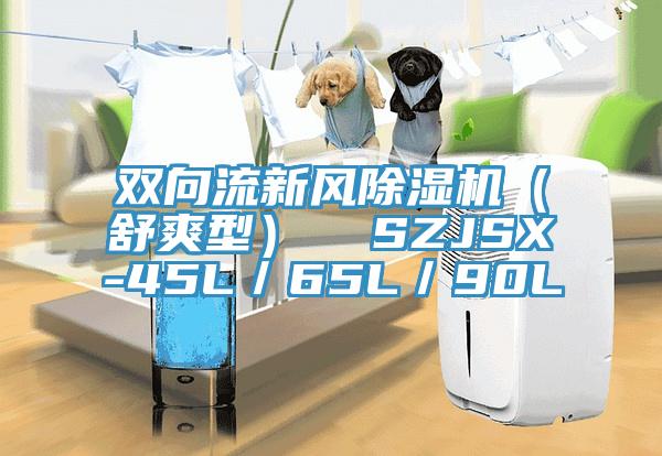 雙向流新風除濕機（舒爽型）  SZJSX-45L／65L／90L