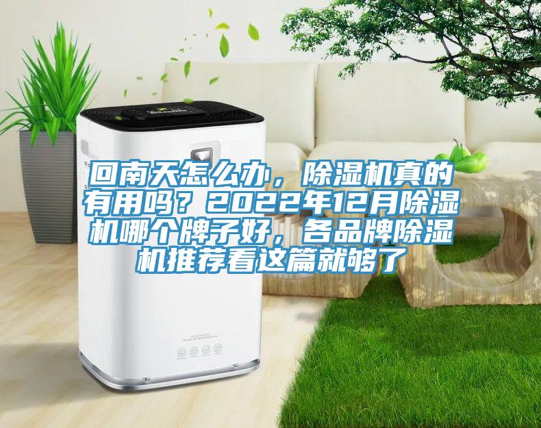 回南天怎么辦，除濕機真的有用嗎？2022年12月除濕機哪個牌子好，各品牌除濕機推薦看這篇就夠了