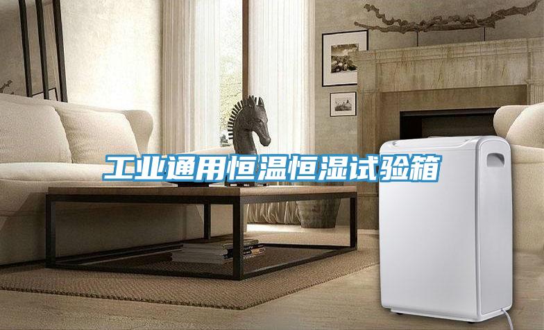 工業(yè)通用恒溫恒濕試驗(yàn)箱