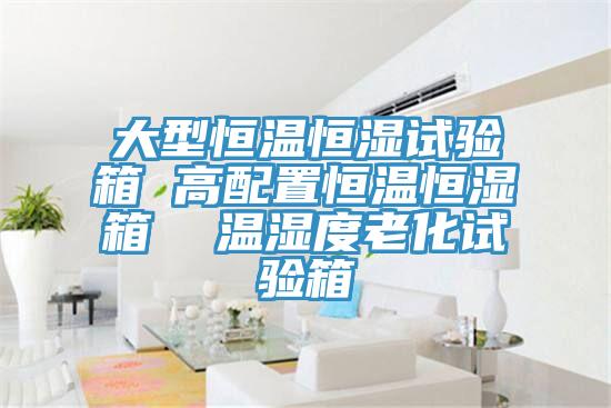 大型恒溫恒濕試驗(yàn)箱 高配置恒溫恒濕箱 溫濕度老化試驗(yàn)箱