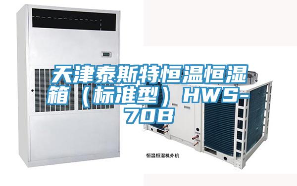 天津泰斯特恒溫恒濕箱(標準型)HWS-70B