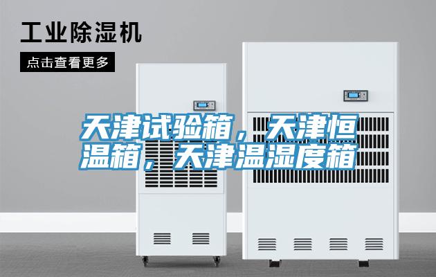 天津試驗箱,天津恒溫箱,天津溫濕度箱