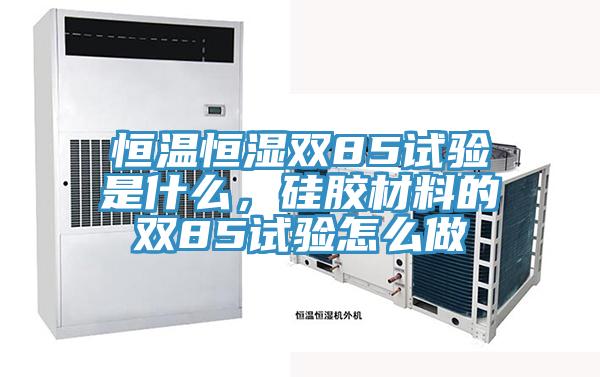 恒溫恒濕雙85試驗是什么,硅膠材料的雙85試驗怎么做