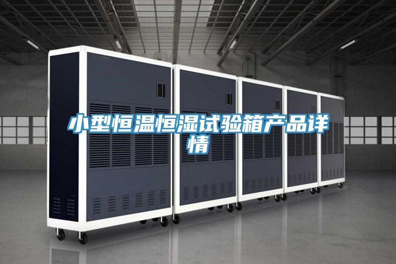 小型恒溫恒濕試驗箱產品詳情