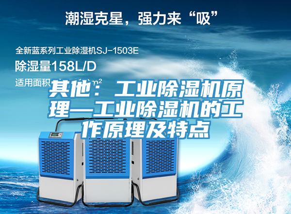 其他：工業(yè)除濕機原理—工業(yè)除濕機的工作原理及特點