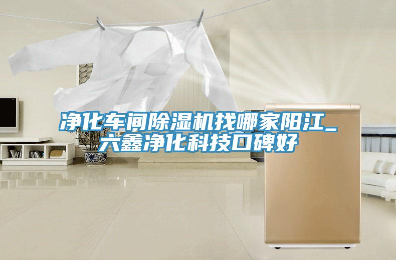 凈化車間除濕機(jī)找哪家陽(yáng)江_六鑫凈化科技口碑好