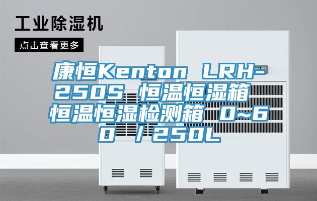 康恒Kenton LRH-250S 恒溫恒濕箱 恒溫恒濕檢測箱 0~60℃/250L