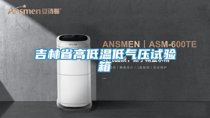吉林省高低溫低氣壓試驗箱