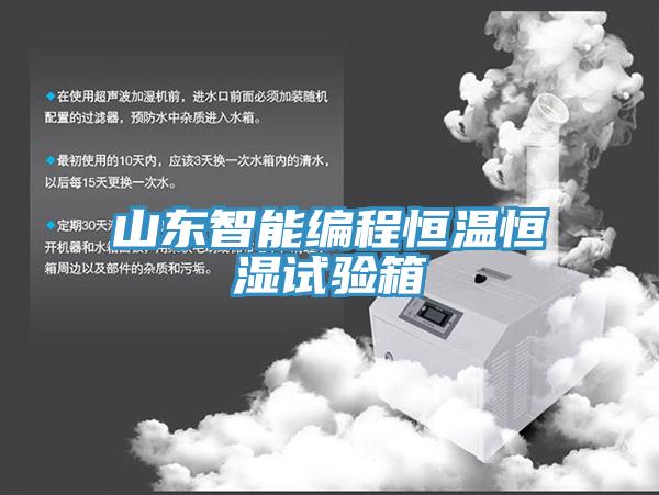 山東智能編程恒溫恒濕試驗(yàn)箱