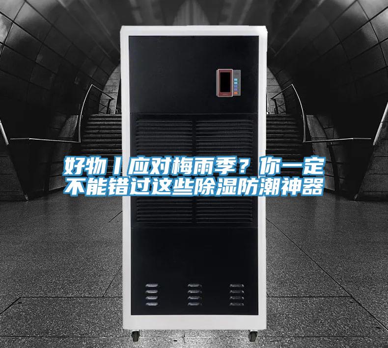 好物丨應對梅雨季？你一定不能錯過這些除濕防潮神器