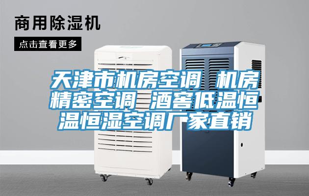 天津市機房空調 機房精密空調 酒窖低溫恒溫恒濕空調廠家直銷