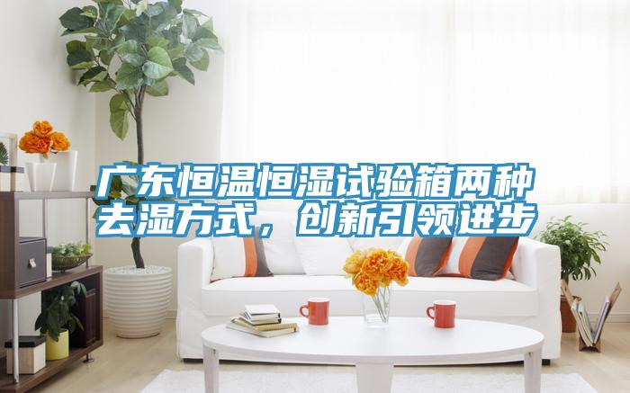 廣東恒溫恒濕試驗箱兩種去濕方式,創(chuàng)新引領進步