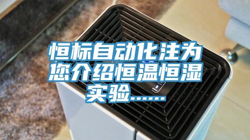 恒標(biāo)自動(dòng)化注為您介紹恒溫恒濕實(shí)驗(yàn)......