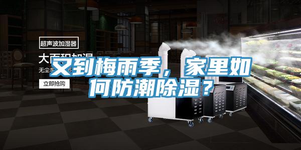 又到梅雨季，家里如何防潮除濕？