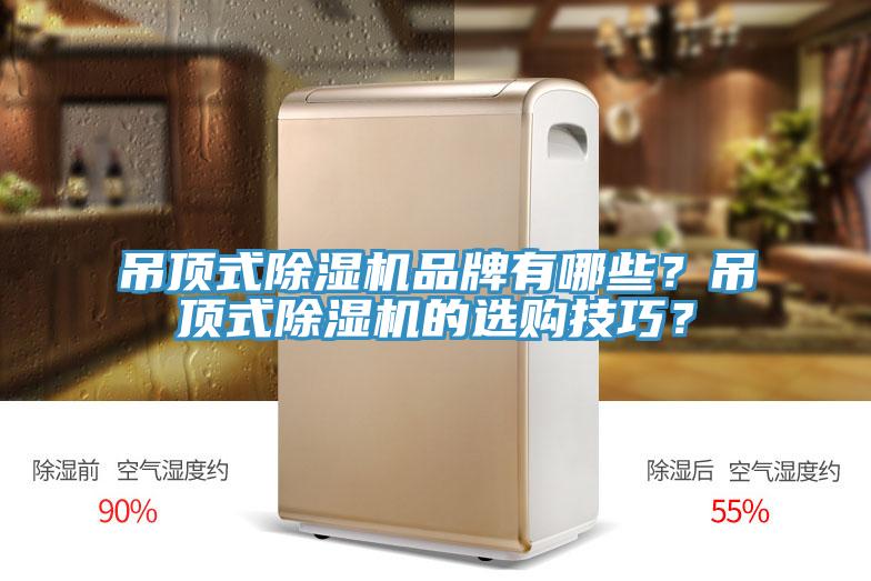 吊頂式除濕機品牌有哪些？吊頂式除濕機的選購技巧？