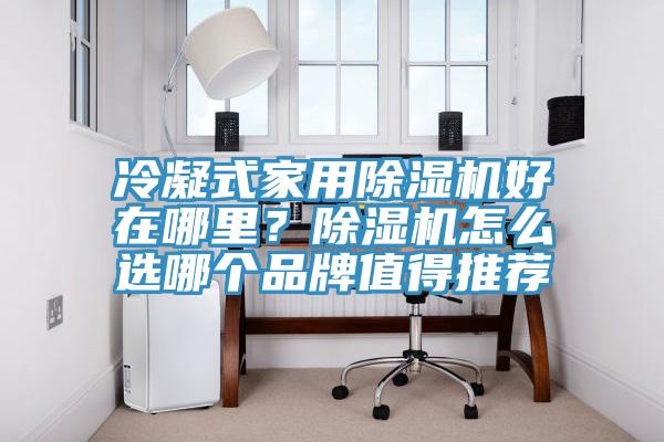 冷凝式家用除濕機好在哪里？除濕機怎么選哪個品牌值得推薦