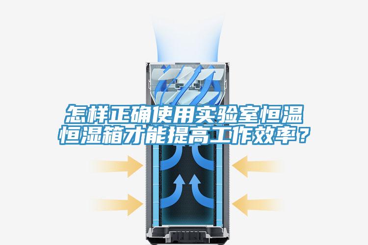 怎樣正確使用實驗室恒溫恒濕箱才能提高工作效率？