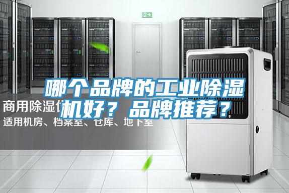 哪個(gè)品牌的工業(yè)除濕機(jī)好？品牌推薦？