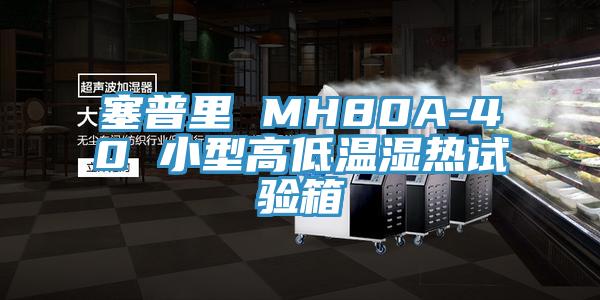 塞普里 MH80A-40 小型高低溫濕熱試驗箱