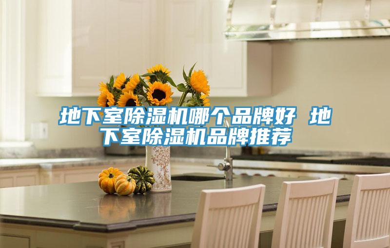 地下室除濕機哪個品牌好 地下室除濕機品牌推薦