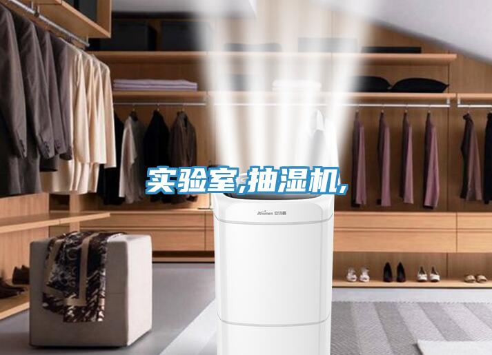 實(shí)驗(yàn)室,抽濕機(jī),