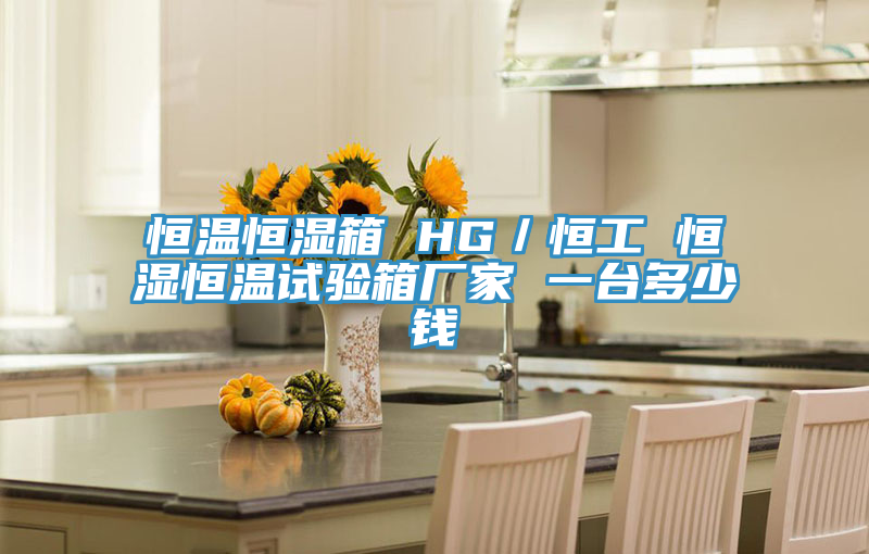 恒溫恒濕箱 HG／恒工 恒濕恒溫試驗箱廠家 一臺多少錢