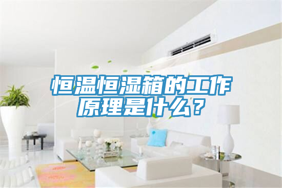 恒溫恒濕箱的工作原理是什么？
