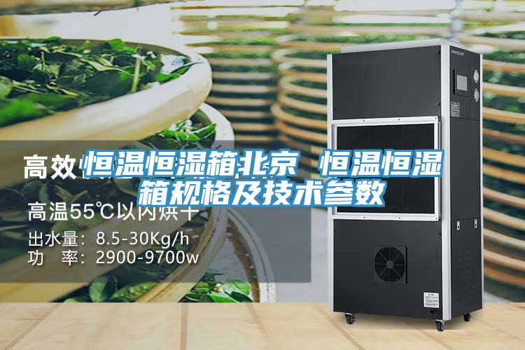 恒溫恒濕箱北京 恒溫恒濕箱規格及技術參數