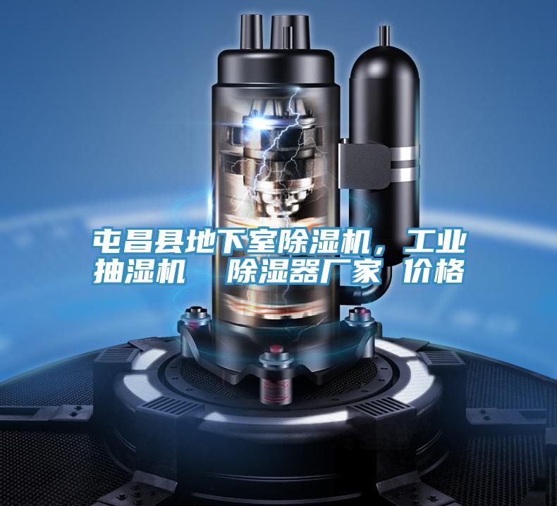 屯昌縣地下室除濕機，工業抽濕機  除濕器廠家 價格
