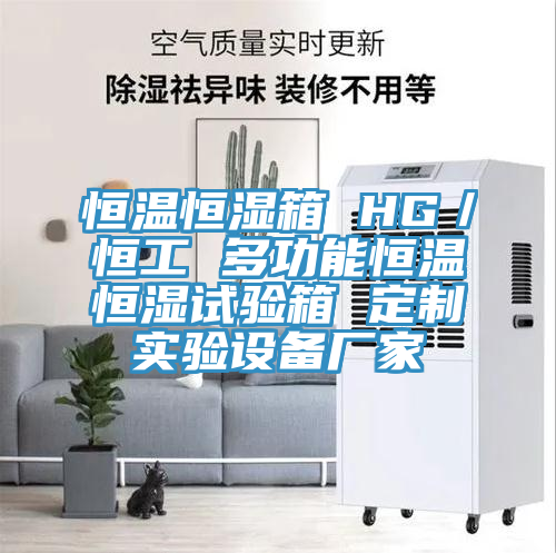 恒溫恒濕箱 HG／恒工 多功能恒溫恒濕試驗箱 定制實驗設備廠家