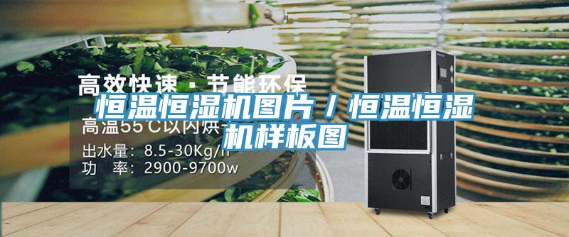 恒溫恒濕機圖片／恒溫恒濕機樣板圖