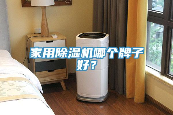 家用除濕機(jī)哪個(gè)牌子好？