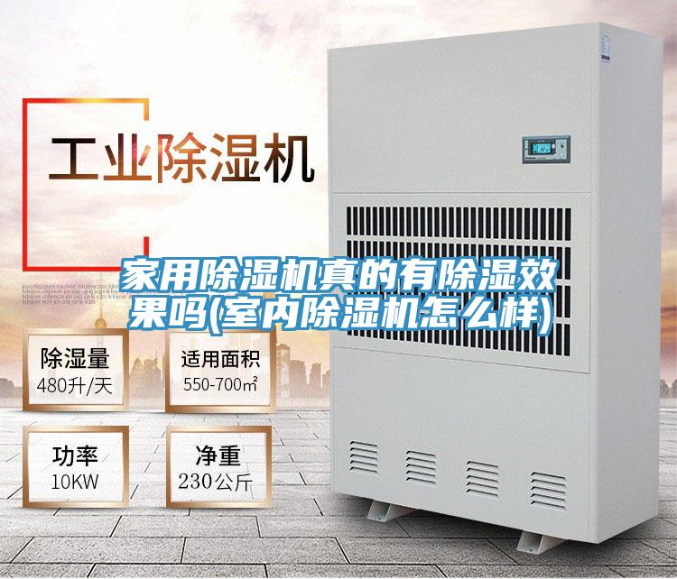 家用除濕機(jī)真的有除濕效果嗎(室內(nèi)除濕機(jī)怎么樣)