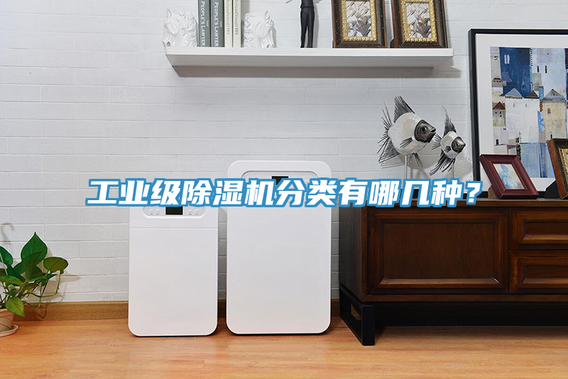 工業級除濕機分類有哪幾種？