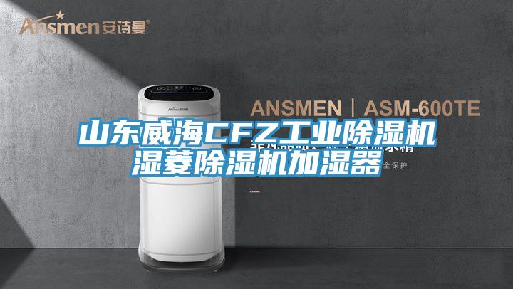 山東威海CFZ工業(yè)除濕機濕菱除濕機加濕器