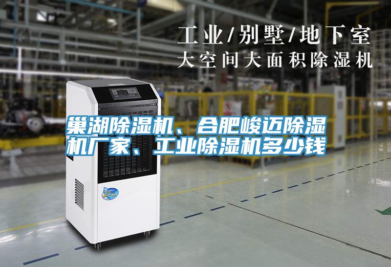 巢湖除濕機、合肥峻邁除濕機廠家、工業(yè)除濕機多少錢