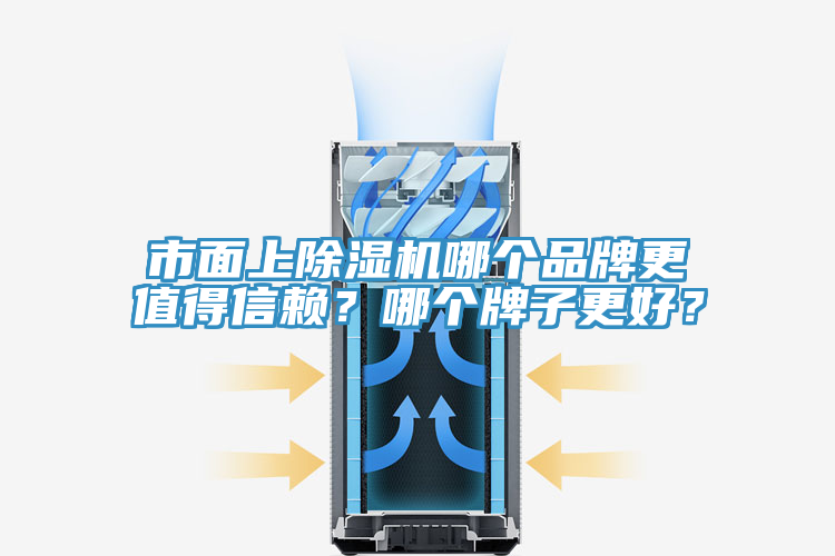 市面上除濕機哪個品牌更值得信賴？哪個牌子更好？