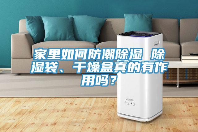 家里如何防潮除濕 除濕袋、干燥盒真的有作用嗎？