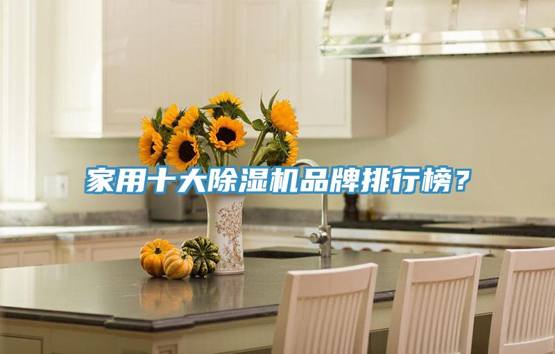 家用十大除濕機品牌排行榜？