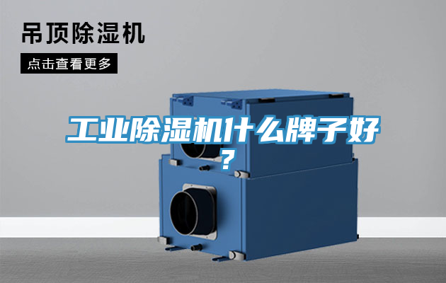 工業除濕機什么牌子好？