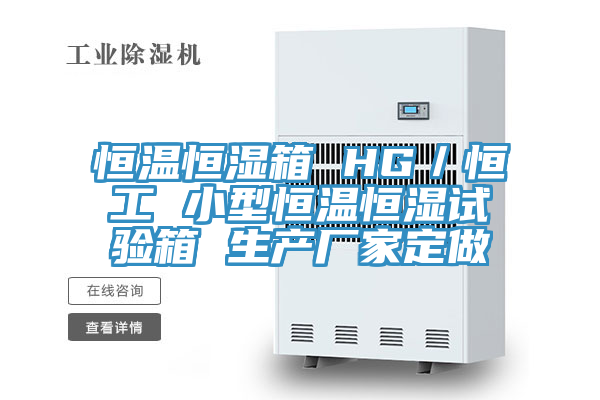 恒溫恒濕箱 HG／恒工 小型恒溫恒濕試驗箱 生產廠家定做