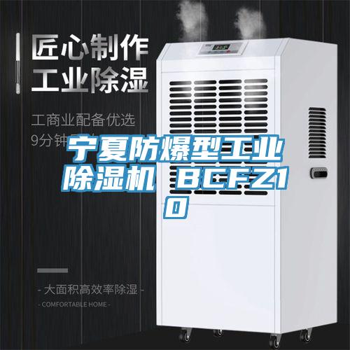 寧夏防爆型工業除濕機 BCFZ10