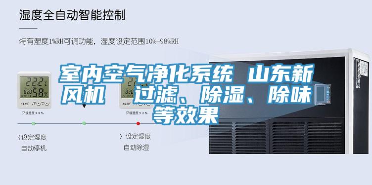 室內(nèi)空氣凈化系統(tǒng) 山東新風(fēng)機(jī)  過(guò)濾、除濕、除味等效果