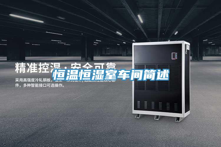 恒溫恒濕室車間簡述