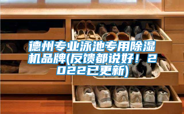 德州專業泳池專用除濕機品牌(反饋都說好！2022已更新)